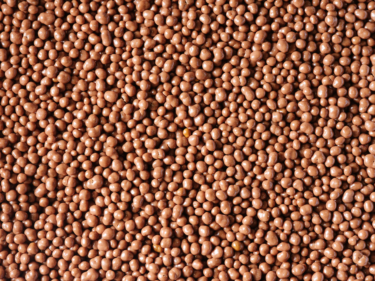 Perles de pollen enrobées de chocolat au lait