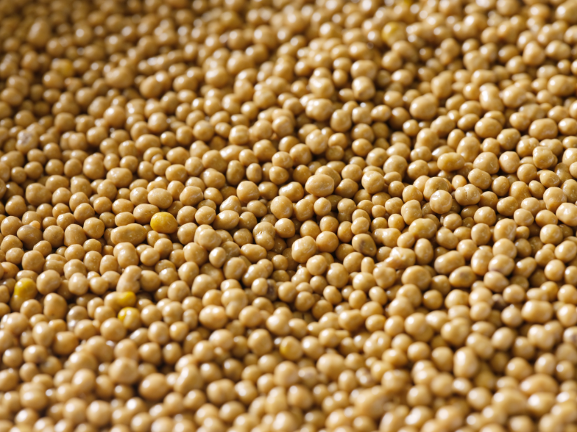 Perles de pollen enrobées de chocolat Blond caramélisé