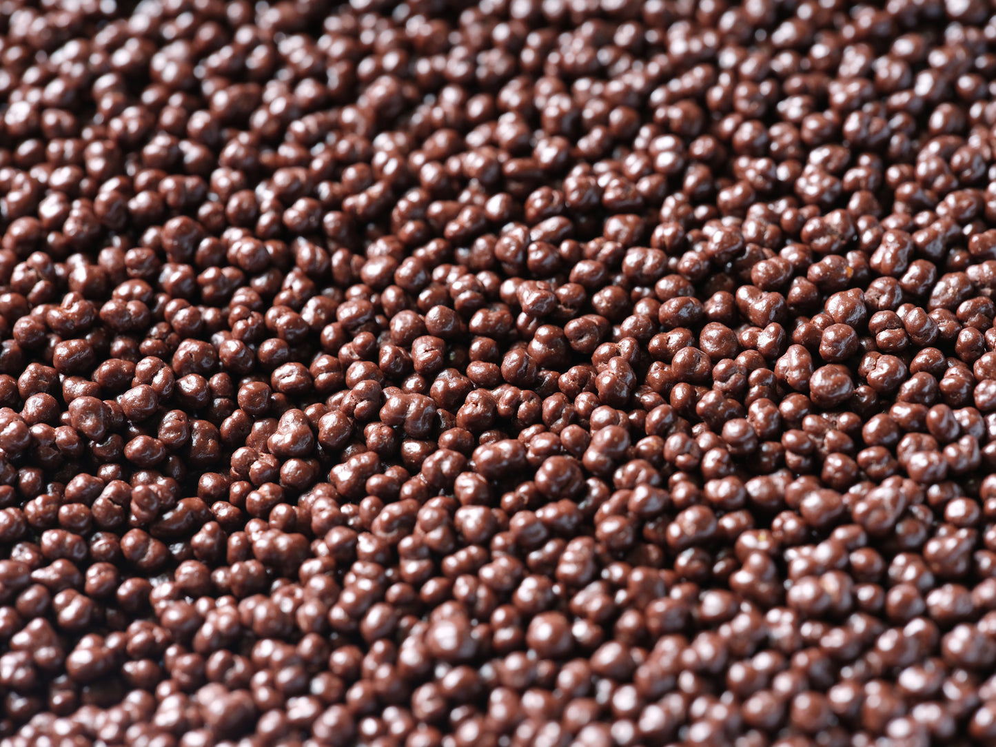 Perles de pollen enrobées de chocolat noir
