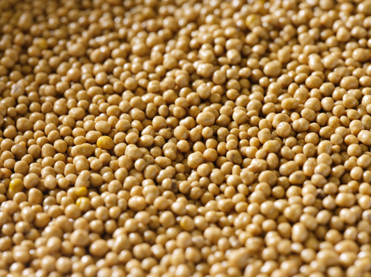 Perles de pollen enrobées de chocolat Blond caramélisé